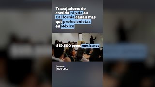 La triste realidad de los profesionistas en México 😲 SoyAleeLopez [upl. by Nalim]