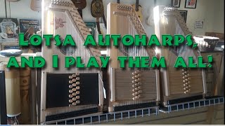 Lotsa dAigle Autoharps on sale now I play lapstyle on 15 plus autoharps in the shop [upl. by Ailgna740]