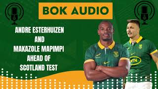 SPRINGBOKS Audio from Andre Esterhuizen and Makazole Mapimpi ahead of Scotland test [upl. by Hafirahs]