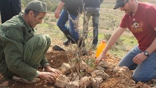 Consejos para plantar árboles en zonas áridas [upl. by Flower]