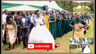 THE KABELLOWSwedding MARAKWET VIBES amp CULTURAL DANCE FAITH WEDS EDWIN kalyaculturaldancers4451 🔥 [upl. by Enitram351]