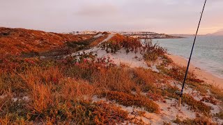 Langebaan fishing Spreeuwalle Langebaan sharks Bronze whaler sharks amp West Coast Monsters [upl. by Muhan277]