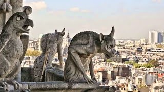 The Dark History Behind Medieval Gargoyles [upl. by Nealey]