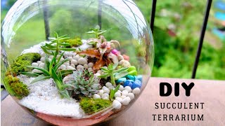 DIY  Succulent Plant Terrarium [upl. by Eiger]