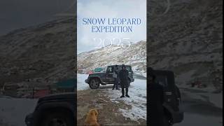 Snow Leopard Expedition 2025  Snow Leopard Hunting  Spiti  4K Video  Wild Wonders Expeditions [upl. by Ynatil]