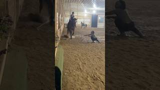 jumped water horse horses equestrian viral trending trend jumping horseriding riding yt [upl. by Frech]