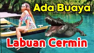 Ada Buaya di Objek Wisata Labuan Cermin [upl. by Debora]