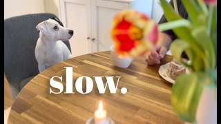 My simple Scandinavian life  rainy weekday ☔️  appreciating small things  Silent vlog Norway [upl. by Thom]