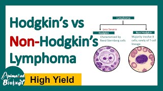 Hodgkin vs Non Hodgkin Lymphoma  Differences between Hodgkin and Non Hodgkin lymphoma [upl. by Orteip998]