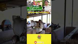 farming ecofriendlyagriculture organicfarming agriculture natural satyam24raithubadi [upl. by Hnahk]