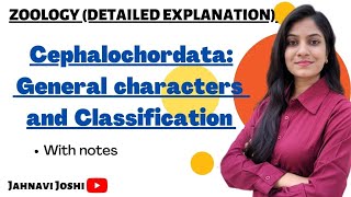 General Characteristics and Classification of Cephalochordata Notes Bsc 2nd year Zoology [upl. by Abita]