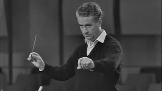 Sergiu Celibidache  Strauss Till Eulenspiegel Rehearsal SRSO 1965 English Subtitles [upl. by Tristam879]