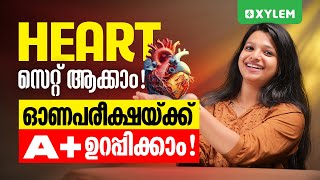 Class 9 Biology  HEART സെറ്റ് ആക്കാം ഓണപരീക്ഷയ്ക്കു A ഉറപ്പിക്കാം  Xylem Class 9 [upl. by Boyt37]