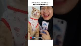 Oyen sudah sangat pasrah shorts viral tiktok kucing memekucing [upl. by Enomor37]