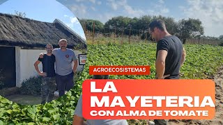 Agroecosistemas La Mayeteria de Rota con almadetomate3511 [upl. by Wilkinson514]