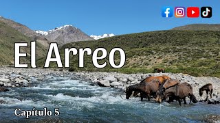 Arreo de Caballos Cabras y Ovejas a la Veranada de la Cordillera de los Andes Trashumancia Arrieros [upl. by Martelle]