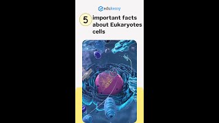 5 important facts about Eukaryotes cells [upl. by Onateyac534]