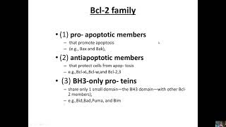 Apoptosis 2 Intrinsic PW [upl. by Brockie515]