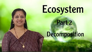 NEET ECOSYSTEM PART2 DECOMPOSITION [upl. by Lledniuq]