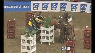 FEI World Cup Driving Finals 2007 [upl. by Allimac]