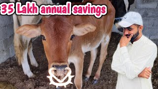 can we earn money from a Dairy Farm35 Lakh Annual saving Dadyal ajkIsrar ahmed official [upl. by Ahsead]