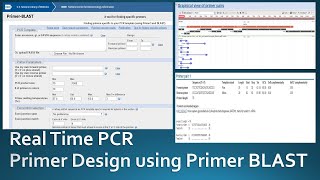 Primer designing for real time PCR using NCBI Primer Blast [upl. by Irahs]