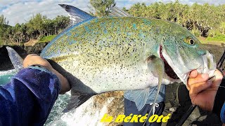 Carangue Bleue au leurre Pêche Du Bord 974 La Réunion [upl. by Davon]