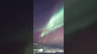 The aurora from Antarctica while the Milky Way galaxy shows the rotation of the earth [upl. by Alexa]