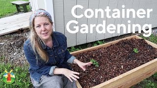 Container Gardening for Beginners [upl. by Grimonia]