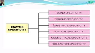 2 Specificity of enzymes Types and examples of specificity [upl. by Tegirb]