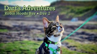 Darts Adventures ● Robin Hoods Bay  Day 2  CAMPING W CATS [upl. by Nonnek]