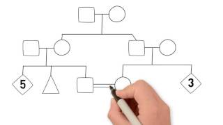 How to Draw a Family Tree  Part 1 Introduction [upl. by Yeldah]