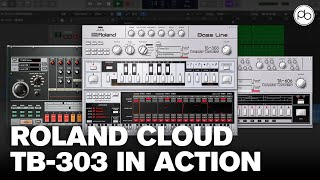 How to Make an Acid Bassline with the TB303 by Roland Cloud [upl. by Ees]