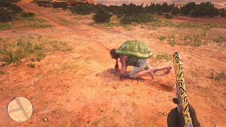 RDR2  The painful death of the Chelonian Master [upl. by Lona]