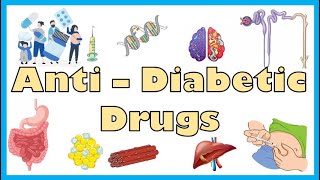 AntiDiabetic Medications  Types Mechanism Of Action Indications Side Effects Contraindications [upl. by Allenrad]