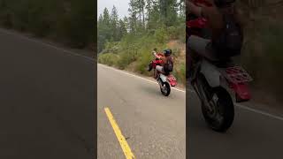 Honda xr650r supermoto wheelie [upl. by Corissa]