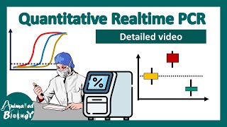 qPCR details  quantitative real time PCR  RT PCR  Biotechniques [upl. by Ille538]