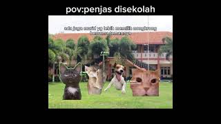 mles lah hpus ariaji2 kucing kucing [upl. by Ase]