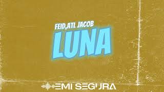 Feid ATL Jacob  Luna  Emi Segura Remix [upl. by Eelatsyrc]