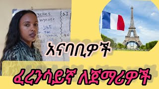 French language lesson for beginners voyelles  Français pour débutants p5 [upl. by Cilka]