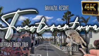 FUERTEVENTURA 4K  Corralejo Bahiazul Resort Squirrels Offroad Buggy Tour [upl. by Harte]