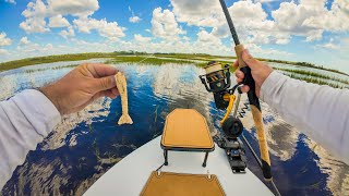 Fishing Steinhatchee Florida with Gulp Shrimp and Topwater  Redfish and Big Trout [upl. by Yrol]