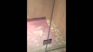 Corner frameless shower doors installation new york sliding shower door cheap installation new york [upl. by Walkling]