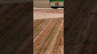 Carrera de galgos  semifinales campeonato Extremadura dji galgos caza campo drone liebres [upl. by Tarrsus]