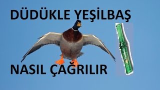 Ördek düdüğü nasıl çalınır Sade anlatım duck call haydels rl 99 [upl. by Haldas]