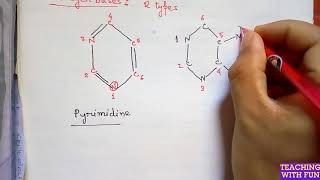 Nucleic Acid  Chemical Structure of DNA amp RNA [upl. by Lalitta]