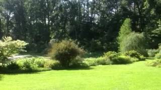 Wyneden Garden in Chadds Ford PA [upl. by Kielty]