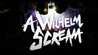 A WILHELM SCREAM Full Set  Live at Manchester Punk Festival 2024 [upl. by Roswald]