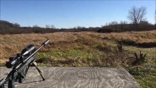 65 Creedmoor vs 20oz soda at 500 yards [upl. by Eul]