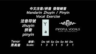 Octave Arp Tenor Zhuyin ㄚ Pinyin A [upl. by Emse]